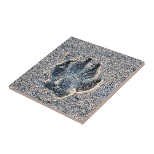 CARREAU EMPREINTE DANS LE SABLE (Côté)