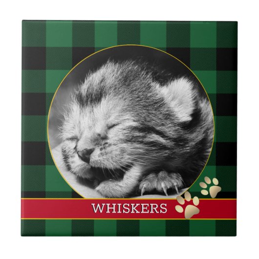 Carreau Empreinte de chat, Plaque de bison, photo de bébé  (Devant)