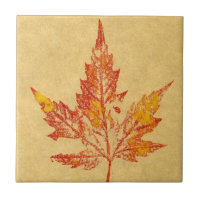 Empreinte de feuilles naturelles de l'érable d'aut