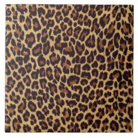 Empreinte de léopard