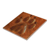 Carreau "Empreinte de patte de terre cuite" par Carter L. (Côté)