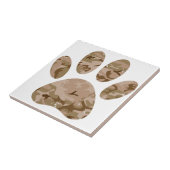 Carreau Empreinte de patte en détresse de Camo Dog du dése (Côté)