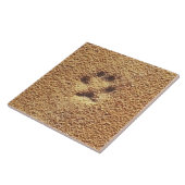 Carreau Empreinte de patte réel (Côté)