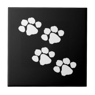 Carreau Empreintes de pattes animaux