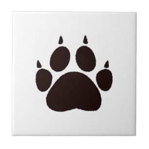Carreau Empreintes de pattes de chat