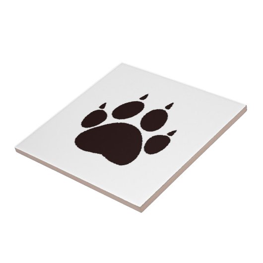 Carreau Empreintes de pattes de chat (Côté)