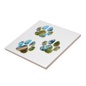 Carreau Empreintes de pattes de chiens - Palmiers tropicau (Côté)