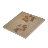 Carreau Empreintes de pattes humides (Côté)