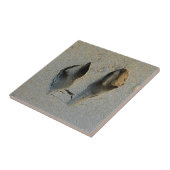 Carreau Empreintes Wallaby en sable (Côté)