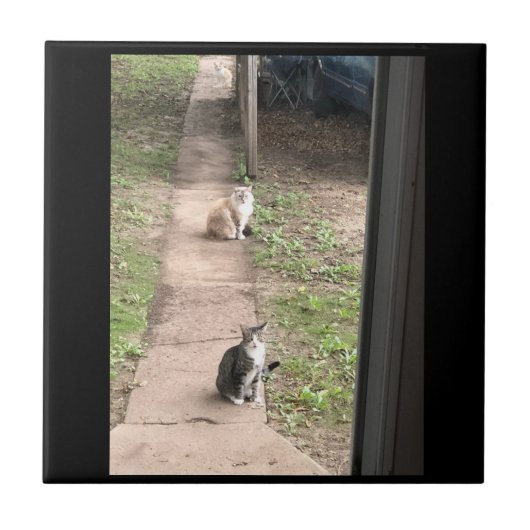 Carreau en céramique de chat (Devant)