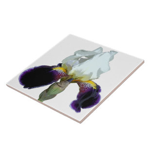 Carreau en céramique d'iris violet et blanc