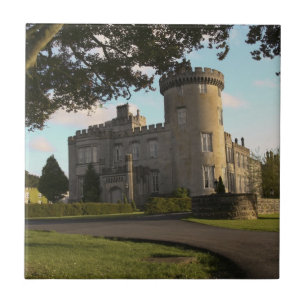 Carreau En Irlande, l'entrée latérale du château de Dromol