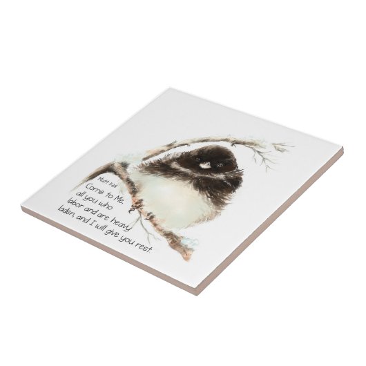 Carreau Encourageant, Écriture Matthieu 8:28 Oiseaux migno (Côté)