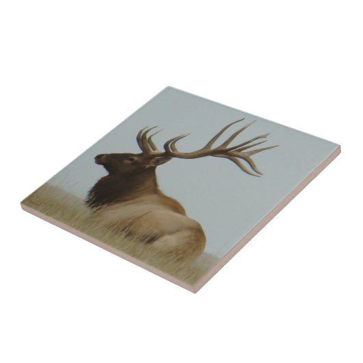 Carreau Encre d'Elk E5 (Côté)