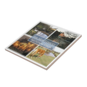 Carreau ENG041 LE NOUVEAU PARC NATIONAL FORET Angleterre,