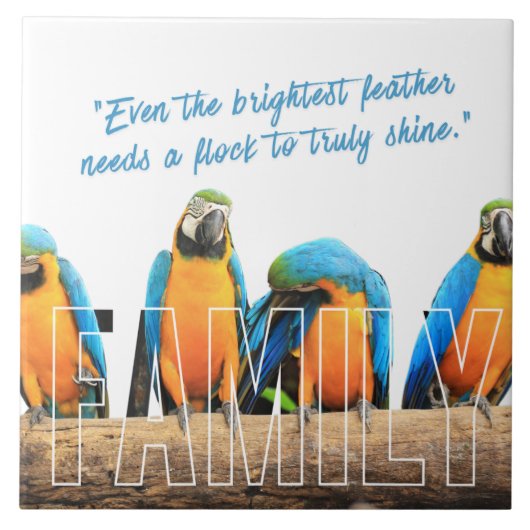 Carreau "Ensemble nous brillons" (Devant)