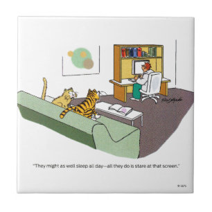 Carreau Entretien de chat