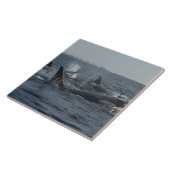 Carreau épaulard (Côté)