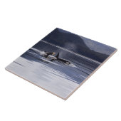 Carreau Épaulards (Côté)