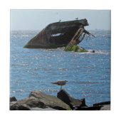 Carreau Épave du cap May (Devant)