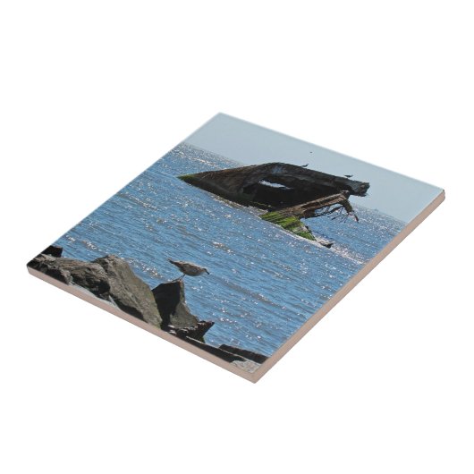 Carreau Épave du cap May (Côté)