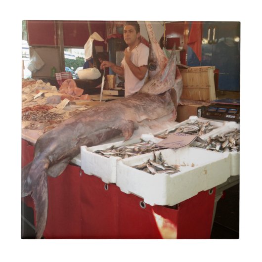 Carreau épéiste sicilien (Devant)