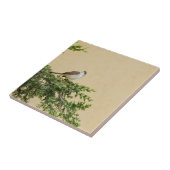 Carreau Épervier (Côté)