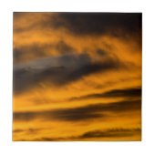 Carreau épuisement des aigles (Devant)