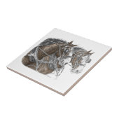 Carreau Équipe cycliste Clydesdale (Côté)