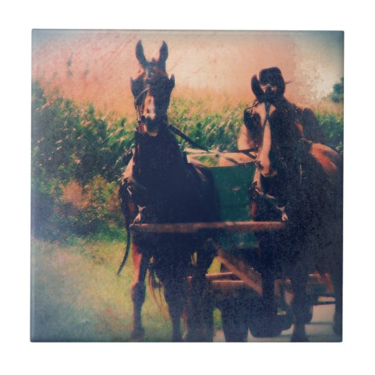 Carreau Équipe d'Amish Horse (Devant)