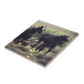 Carreau Équipement tiré à cheval Agriculture de foin (Côté)