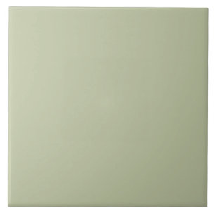 Carreau ER Sage Green bfc6a3 FN