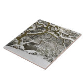 Carreau Érable japonais couvert de neige (Côté)