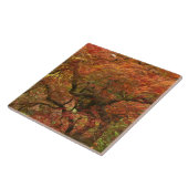 Carreau Érable japonais en couleur d'automne (Côté)