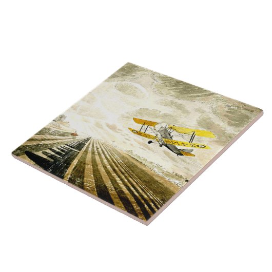 Carreau Eric Ravilit, Tiger Moth, (Côté)