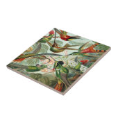 Carreau Ernst Haeckel Art Imprimer : Trochilidae (Côté)