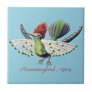 Carreau Ernst Haeckel Colibri Coloré Art de la Nature