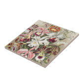 Carreau ErnstHaeckel Vintage Botanical Orchid Illustration (Côté)