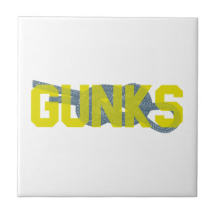 Carreau Escalade Shawagunks