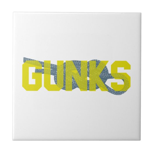 Carreau Escalade Shawagunks (Devant)