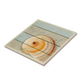 Carreau Escargot de lune (Côté)