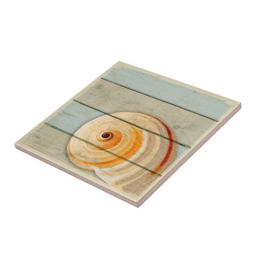 Carreau Escargot de lune (Côté)