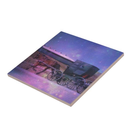 Carreau Espace Amish (Côté)