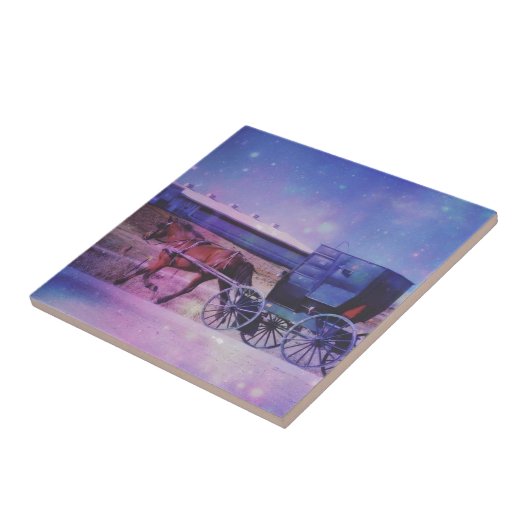 Carreau Espace Amish (Côté)