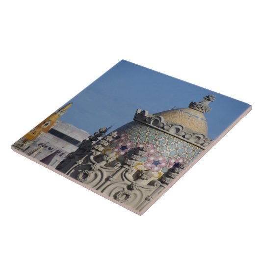 Carreau Espagne, Catalogne, Barcelone. Le toit de Barcelon (Côté)