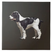 Carreau Espagnol noir et blanc (Devant)