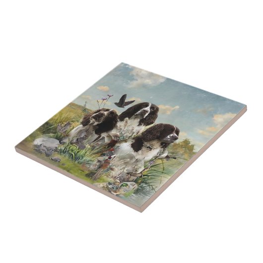 Carreau Espagnol Springer anglais, Art (Côté)