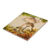 Carreau Espèce de champignons Serpent Agaric | (Côté)