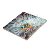 Carreau Espèce marine (Côté)