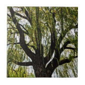 Carreau espoir du printemps muet (Devant)